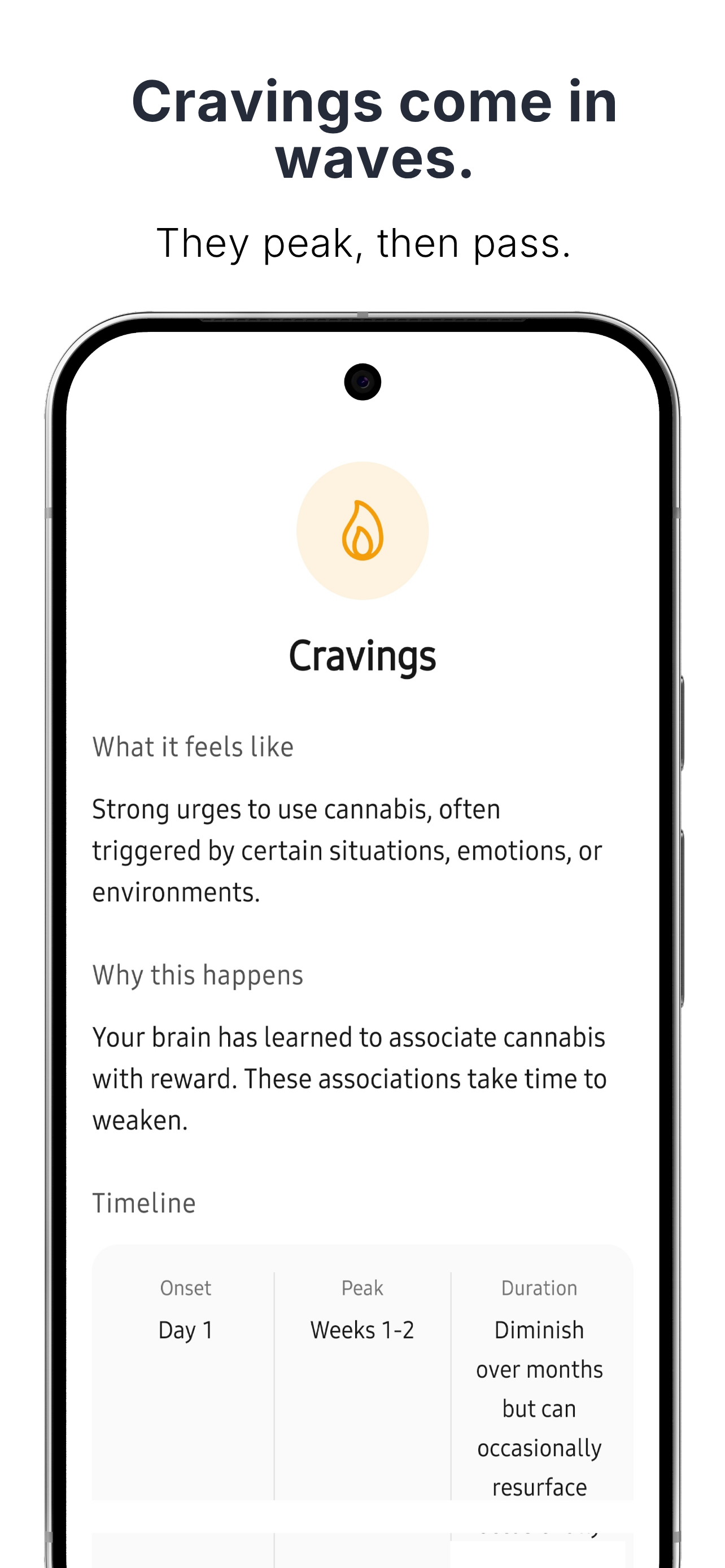 Progress tracking with streaks and milestones